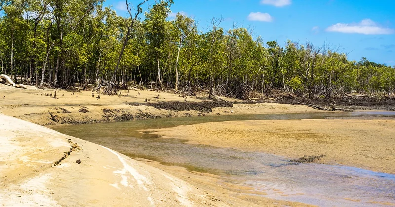 Règles pratiques et respect de l'environnement